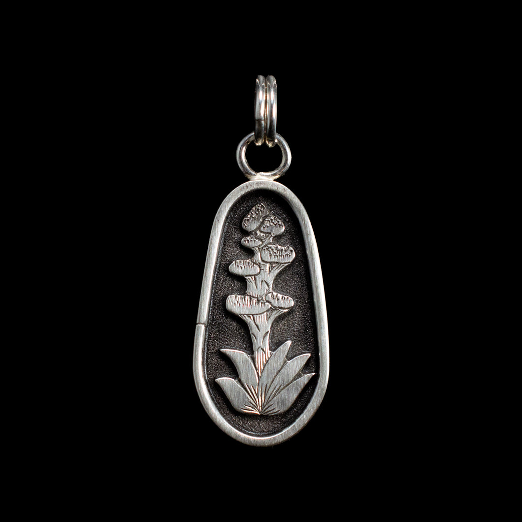 Century Plant | PENDANT | Symbols